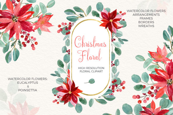 Christmas Eucalyptus and Poinsettia Illustrations